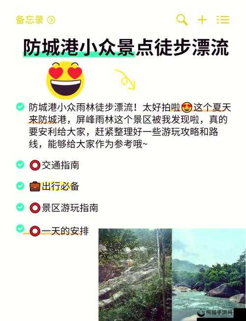 模拟江湖深度探险，十万大山详尽通关攻略与全流程揭秘